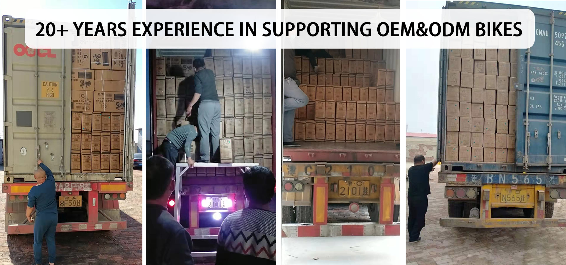 Wholesale Fasion Bicycles