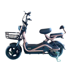 HT Electric Bike TD