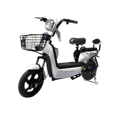 HT Electric Bike TE