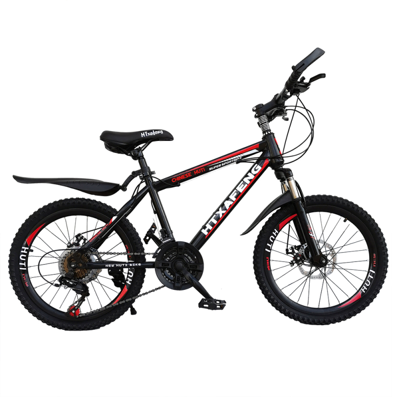 HT Mountain Bike-20'' Wheel