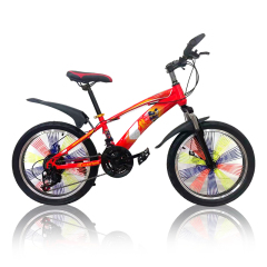 Experience Supply Bicycle 20 Inch Mountain Bikes For Boys And Girls With Kickstand Kids Mountain Bike