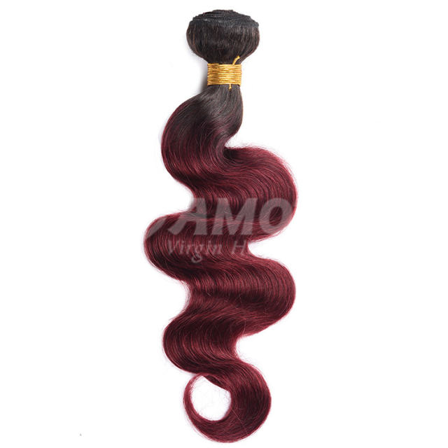 Amoy Virgin Hair 3pcs ombre hair bundles 1b/99j# Straight/Body Wave