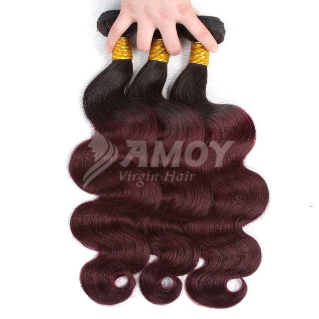 Amoy Virgin Hair 3pcs ombre hair bundles 1b/99j# Straight/Body Wave