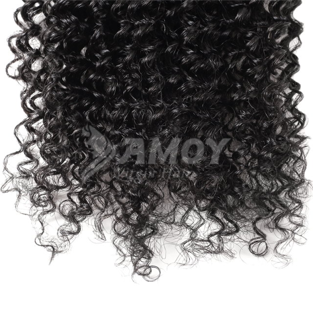 Amoy Virgin Hair Kinky Curly  8A Remy Hair 3 Bundles with 4*4 Lace Closure
