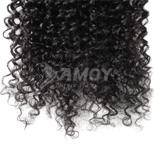 Amoy Virgin Hair Kinky Curly 8A Remy Hair 4 Bundles with 4*4 Lace Closure