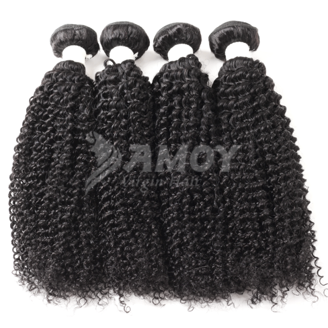 Amoy Virgin Hair Kinky Curly 8A Remy Hair 4 Bundles with 4*4 Lace Closure