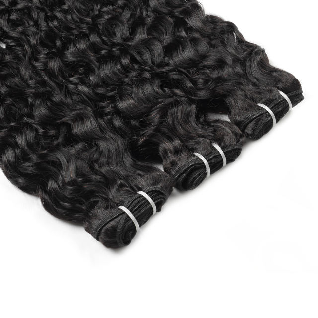 Amoy Virgin Hair Water Wave 8A Remy Hair 4 Bundles with 4*4 Lace Closure