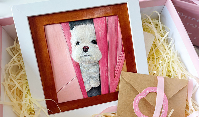 For My Shy Baby Candy