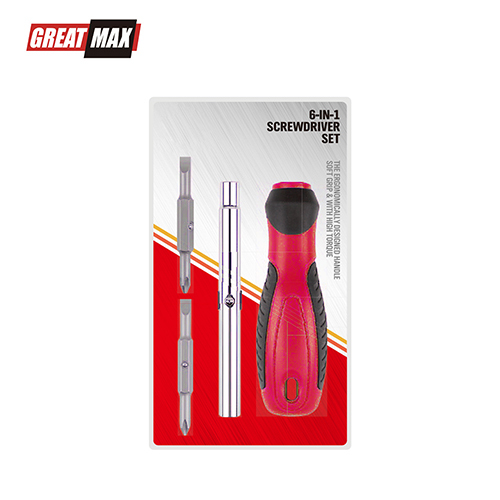 6 In 1 Screwdriver Set with double ended bits