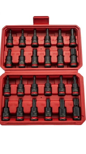 24PCS 38 Hex &amp; Torx Bit Socket Set CR-V &amp; S2 with Red Ring Automotive Tool Supplier China