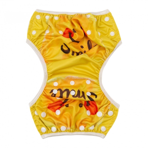 ALVABABY Reusable Swim Diaper - Adjustable One Size Swimwear for Infants & Toddlers (Smile, SWD83A)