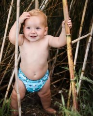 ALVABABY One Size Print Pocket Cloth Diaper -Panda(H240A)