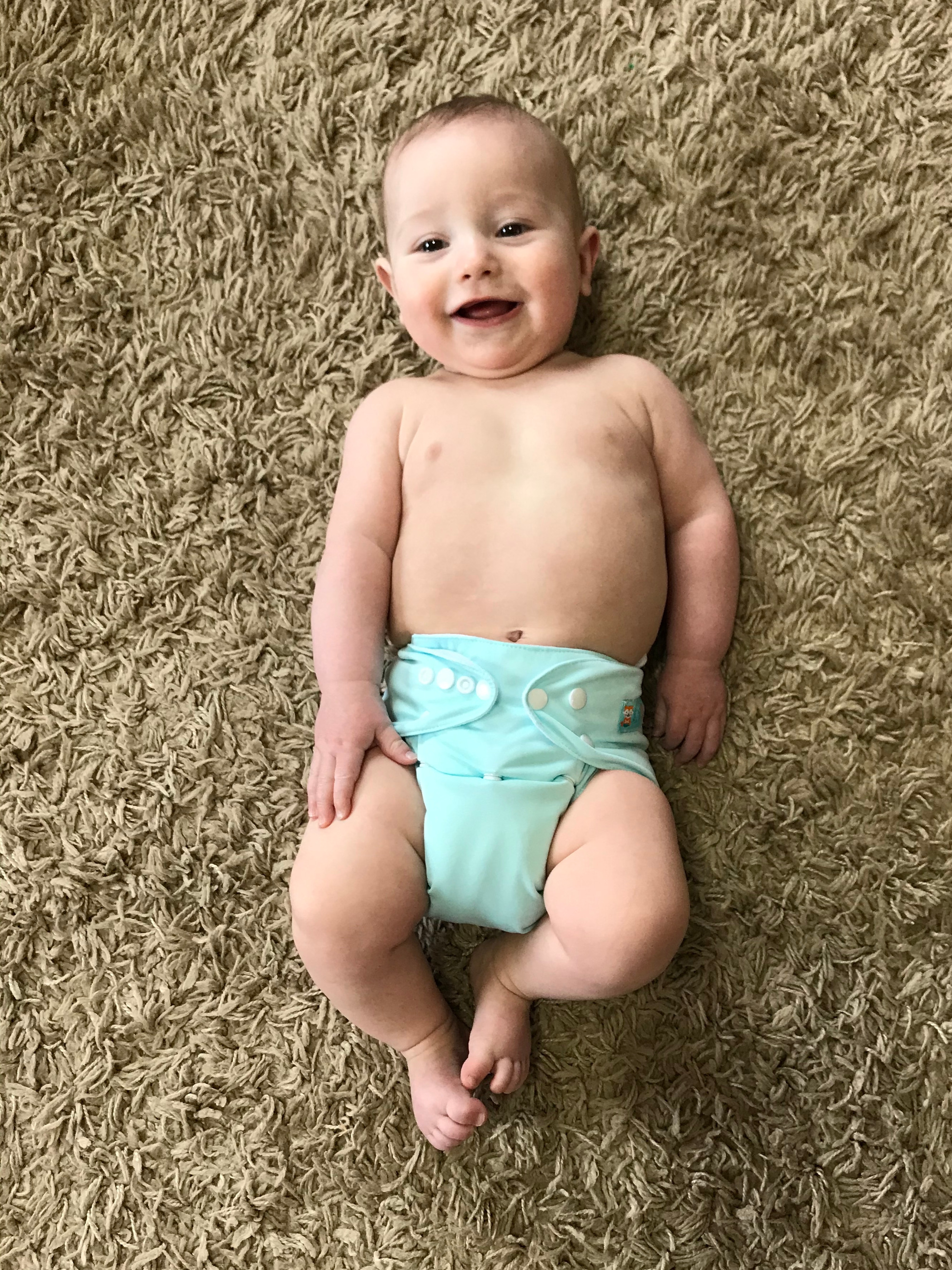 ALVABABY Solid Cloth Diaper - One Size Adjustable Washable & Reusable Diaper with Pocket for Babies (Light green, B02A)