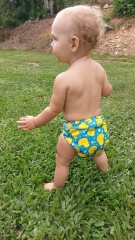 ALVABABY One Size Print Pocket Cloth Diaper -Duck(H114A)