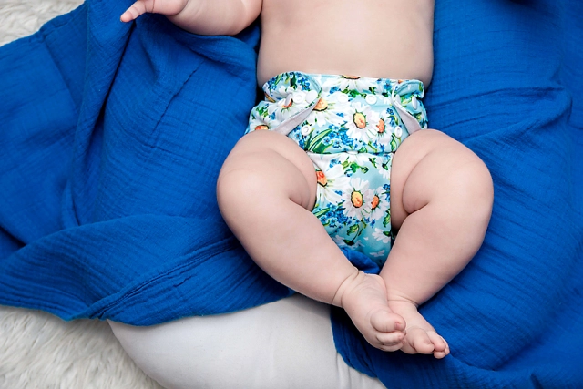 ALVABABY One Size Print Pocket Cloth Diaper -Chrysanthemum(H162A)