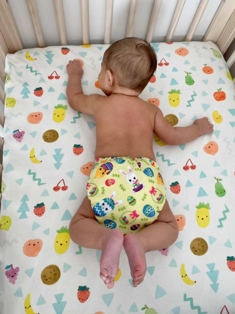 ALVABABY One Size Print Pocket Cloth Diaper -Eggs(H209A)