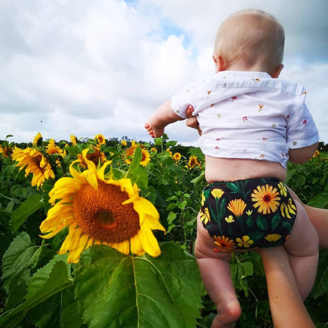 ALVABABY One Size Positioning Printed Cloth Diaper -Little daisy (YD193A)