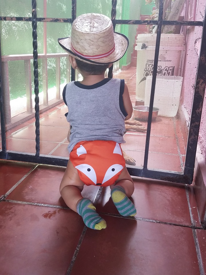 ALVABABY Positioning Cloth Diaper - One Size Adjustable Washable & Reusable Diaper for Babies and Toddlers (Fox, YD82A)