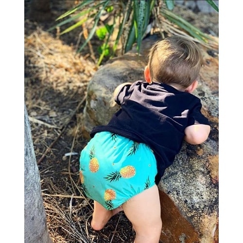 ALVABABY Print Cloth Diaper - One Size Adjustable Washable & Reusable Diaper for Babies and Toddlers (Pineapple, H074A)