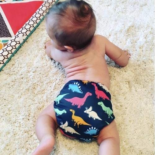 ALVABABY One Size Positioning Printed Cloth Diaper -Dinosaur (YD120A)