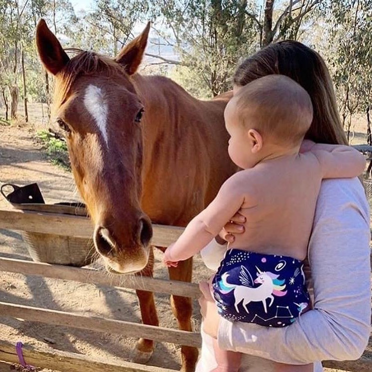 ALVABABY Print Cloth Diaper - One Size Adjustable Washable & Reusable Diaper for Babies and Toddlers (Unicorn, H152A)