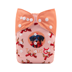 ALVABABY One Size Positioning Printed Cloth Diaper-Taurus  (YDX04A)