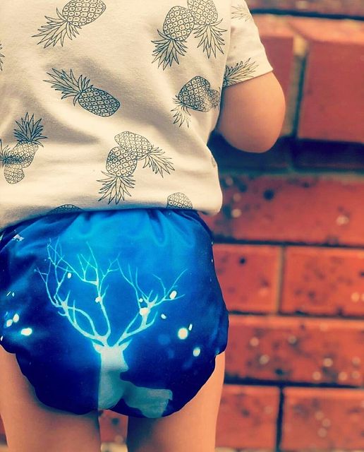 ALVABABY Positioning Cloth Diaper - One Size Adjustable Washable & Reusable Diaper for Babies and Toddlers (Elk, YD199A)