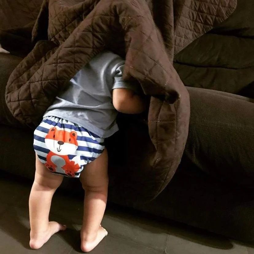 ALVABABY Positioning Cloth Diaper - One Size Adjustable Washable & Reusable Diaper for Babies and Toddlers (Fox, YD48A)