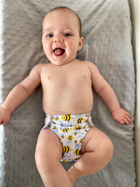 ALVABABY Newborn Pocket Cloth Diaper-Bees(SH117A)