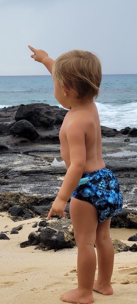 ALVABABY Reusable Swim Diaper - Adjustable Large Size Swimwear for Infants & Toddlers (Turtle, ZSW-H022A)