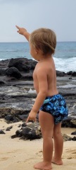 ALVABABY Big Size Printed Swim Diaper -Turtle(ZSW-H022A)