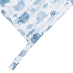 ALVABABY Diaper Wet Dry Bag with Two Zippered Pockets (L-H396A)