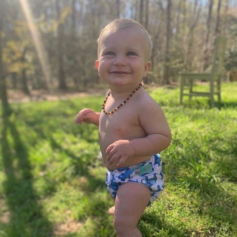 ALVABABY One Size Print Pocket Cloth Diaper -Blue elephant(H141A)