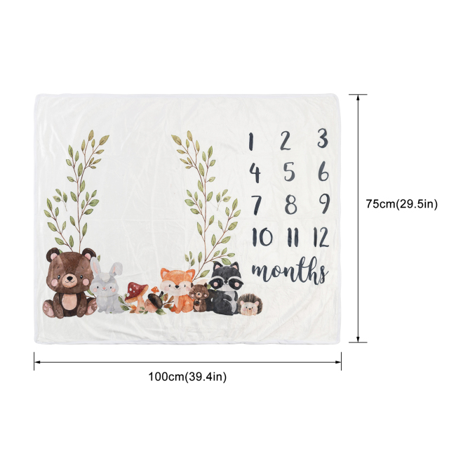 Baby Monthly Milestone Blanket Photography Background Blanket Multifunctional Blanket -BJT02