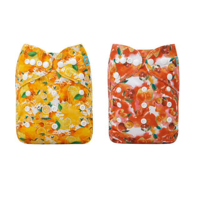 (All Packs)ALVABABY 2PCS Diapers with 2 Microfiber inserts