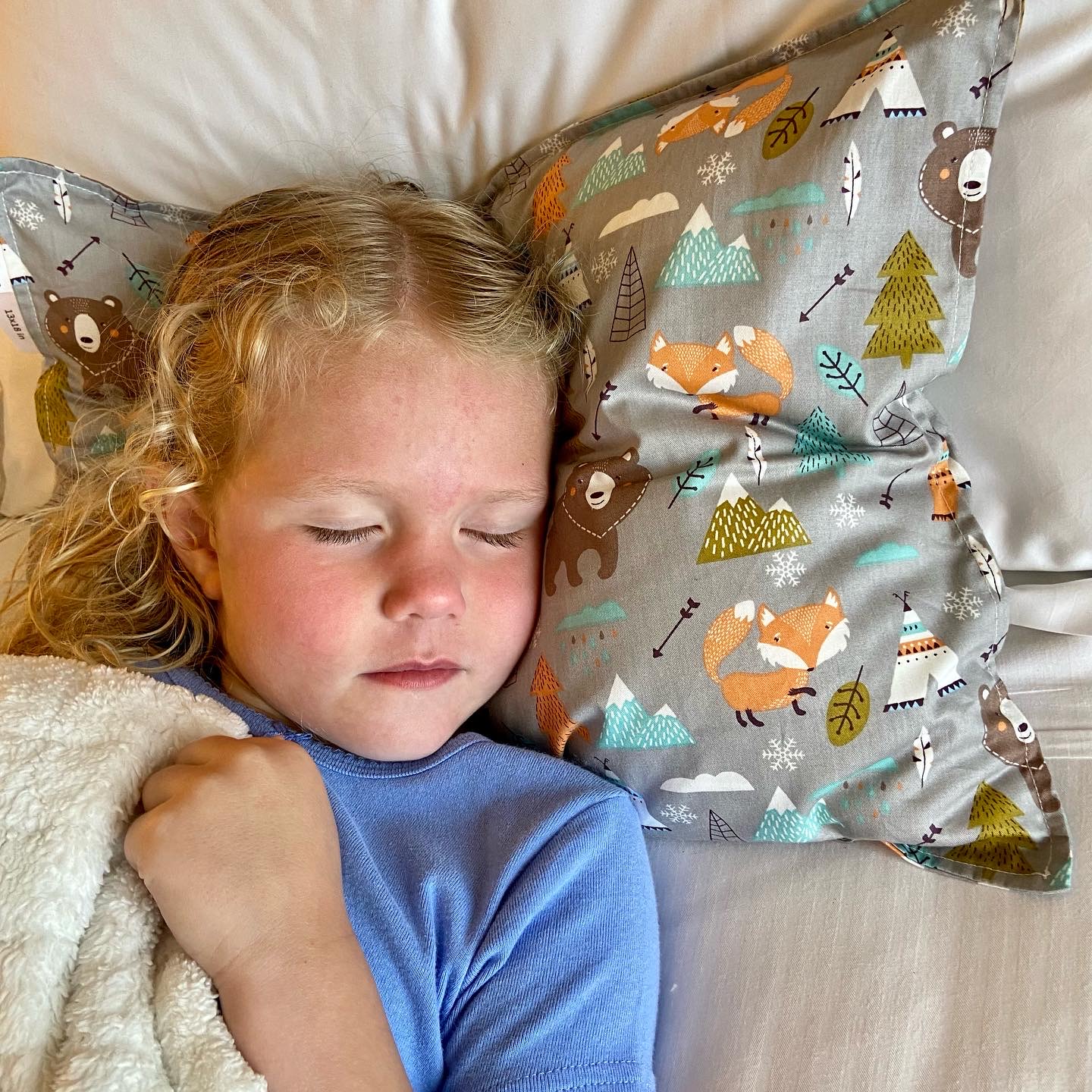 ALVABABY Toddler Pillow with 2 Pillowcases (Z-2TPW09A)