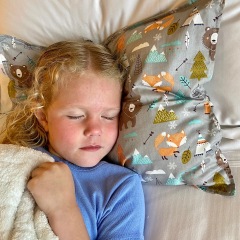 ALVABABY Toddler Pillow with 2 Pillowcases (Z-2TPW09A)