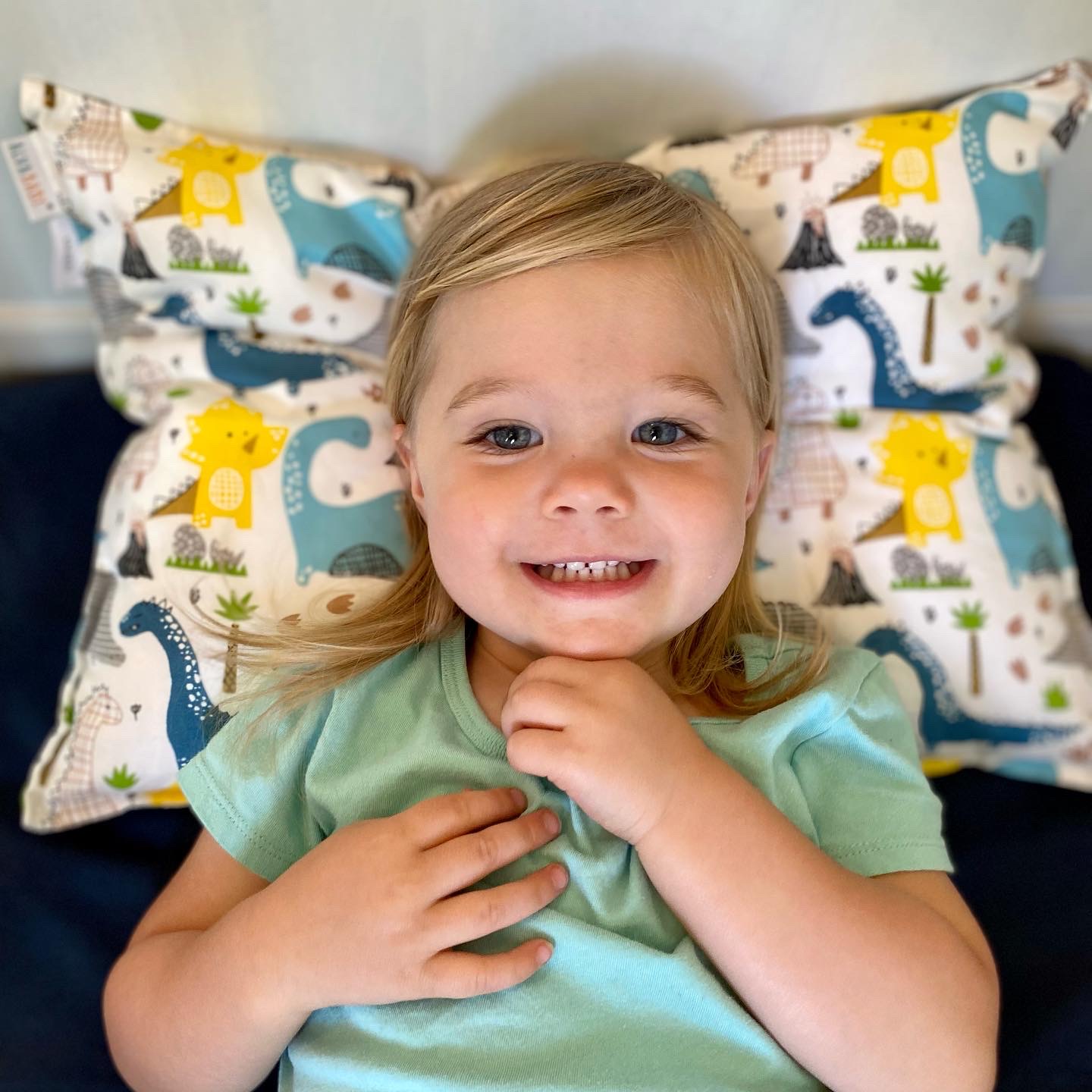 (未使用･未開封品)Pillows & Prayers: The Dvd ALVABABY Toddler Pillow with 2 Pillowcases-Z-2TPW08