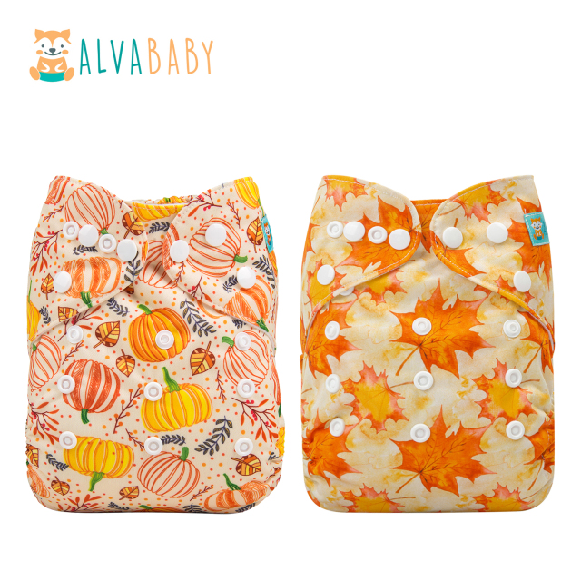 (All Packs)ALVABABY 2PCS Diapers with 2 Microfiber inserts