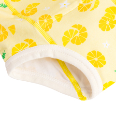 ALVABABY Cotton Training Pant Toddler Training Pant Training Underwear for Potty Training-(XC-BS22A)
