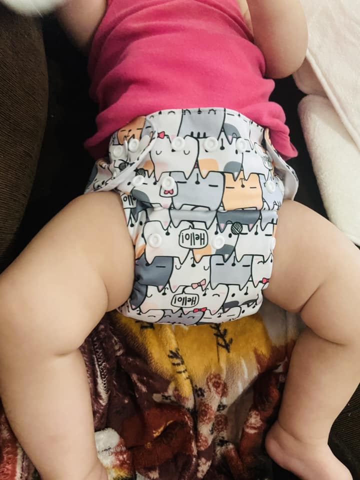 ALVABABY Print Cloth Diaper - One Size Adjustable Washable & Reusable Diaper for Babies and Toddlers (Cute Cats, H286A)