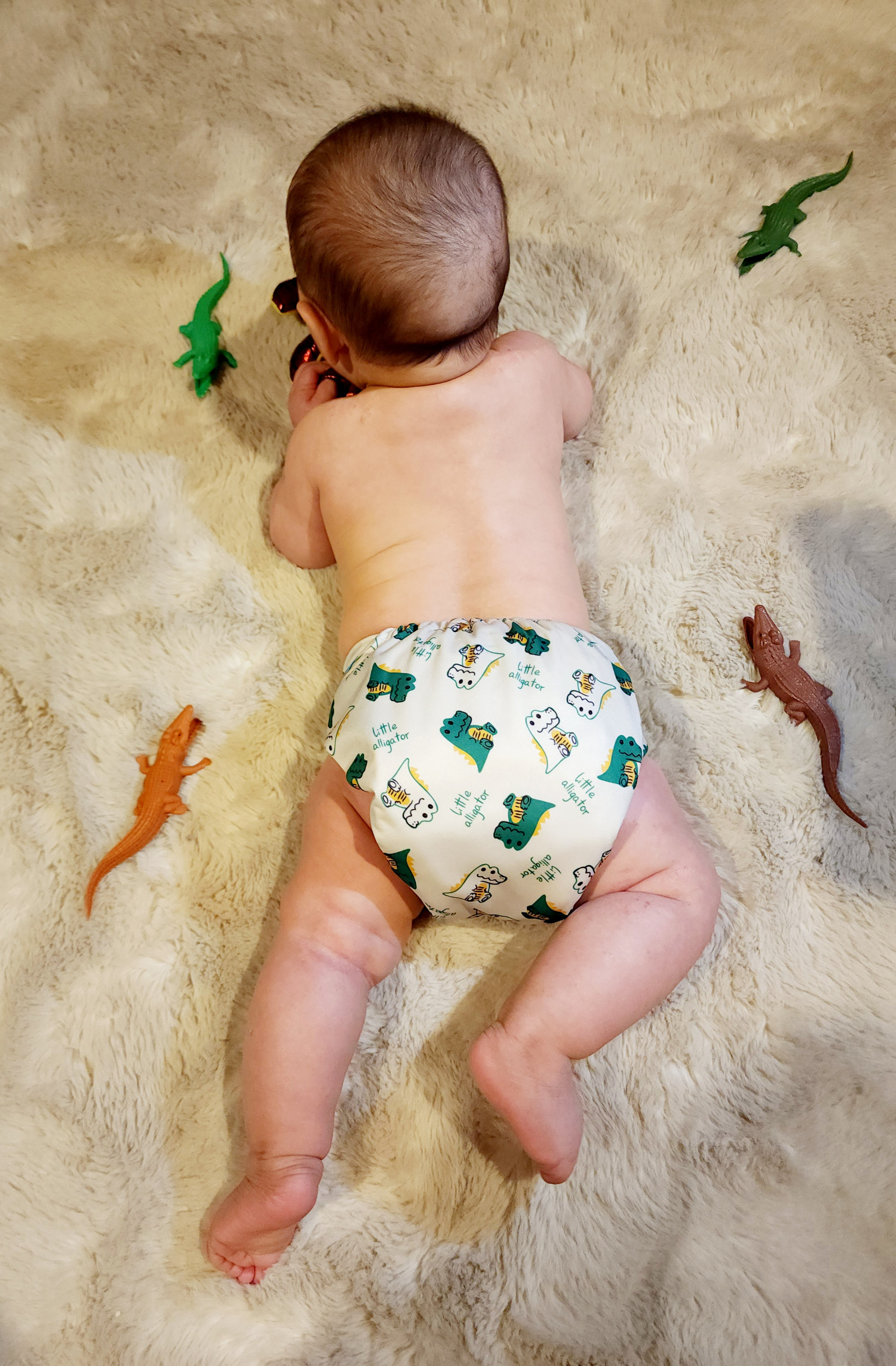 All In One Diaper with Pocket Sewn-in one 4-layer Bamboo blend insert-Dinosaur(AO-EW03A)