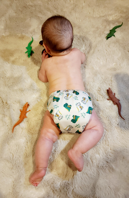 All In One Diaper with Pocket Sewn-in one 4-layer Bamboo blend insert-Dinosaur(AO-EW03A)