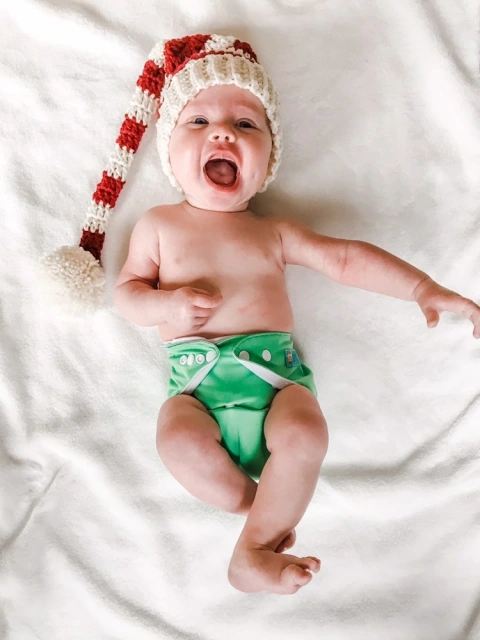 ALVABABY Bamboo Diaper One Size Reusable Cloth Diaper with one 4-layer Bamboo Blend Insert - Green(BB10)