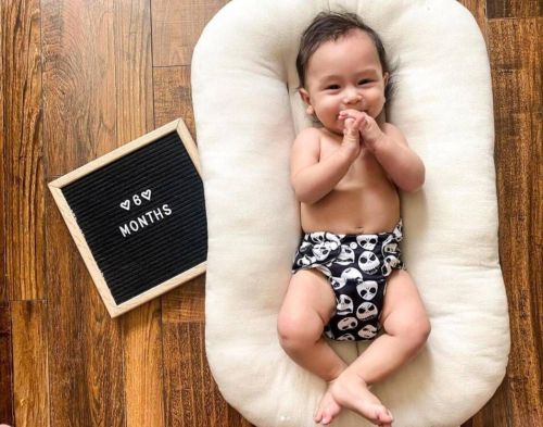 All In One Diaper with Pocket Sewn-in one 4-layer Bamboo blend insert - Skull (AO-YA132A)