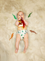 All In One Diaper with Pocket Sewn-in one 4-layer Bamboo blend insert-Dinosaur(AO-EW03A)