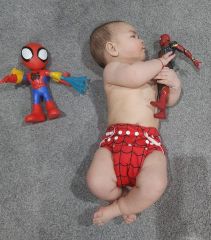 ALVABABY One Size Print Pocket Cloth Diaper -Spider(N06A)