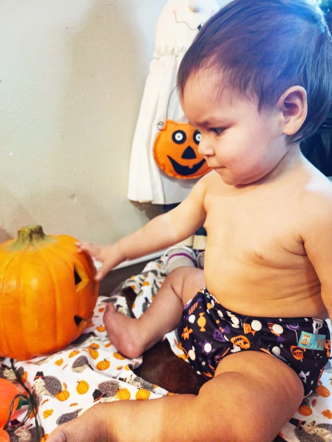 ALVABABY Halloween One Size  Printed Cloth Diaper -Pumpkin(Q89A)
