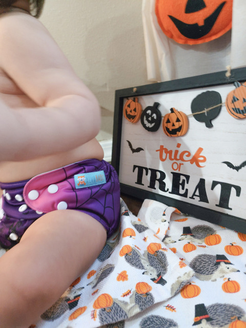 Halloween Cloth Diaper One Size Adjustable Reusable Diapers for Babies -Bat (QD41A)