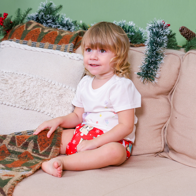 ALVABABY Christmas One Size Positioning Printed Cloth Diaper-(QD95A)
